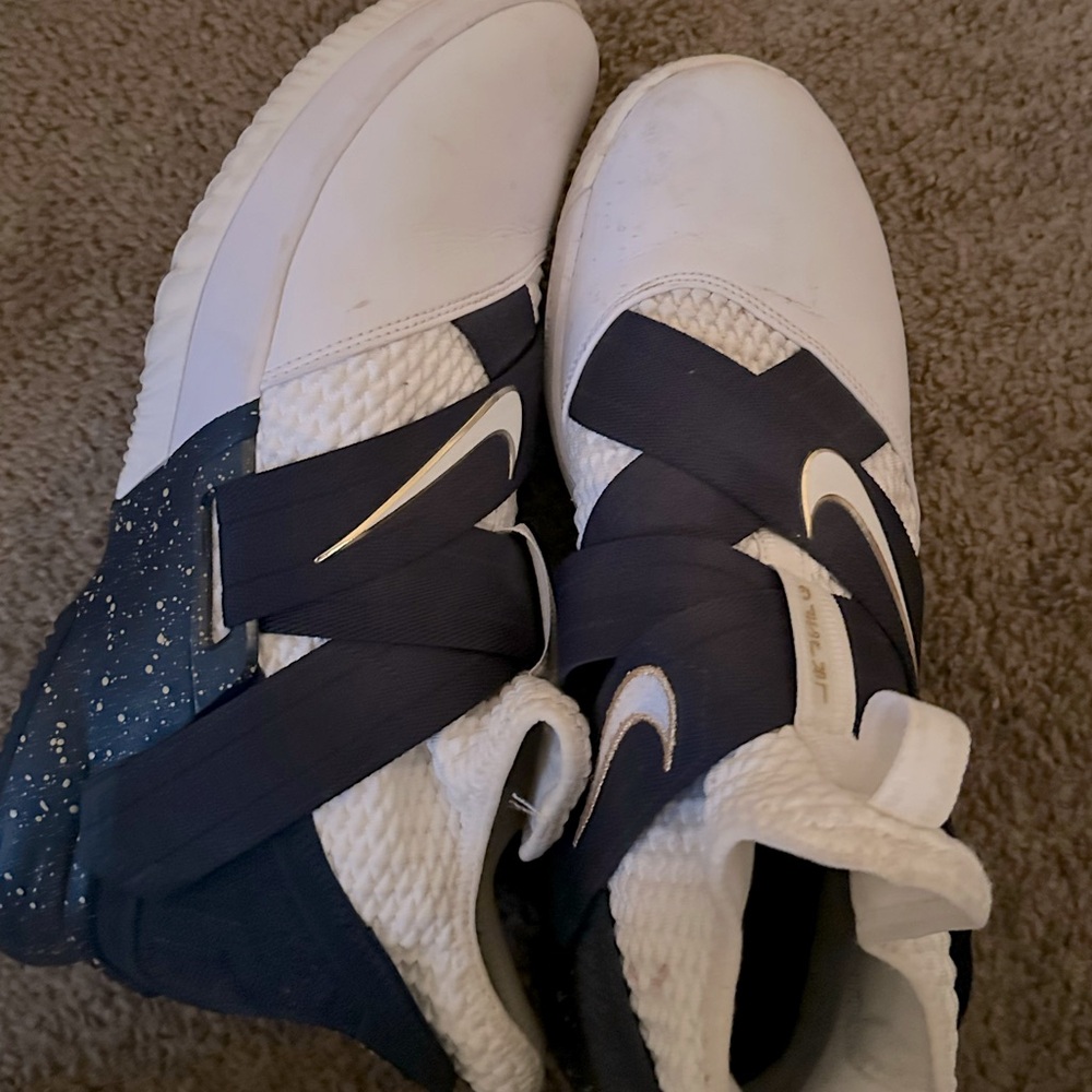 Pair of LeBrons solider 12